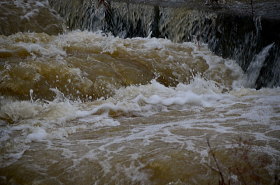 浦安の歴史　キティ台風