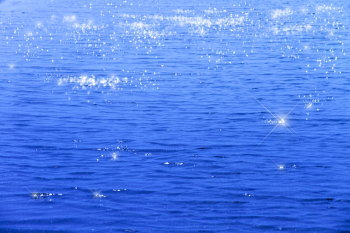 浦安の歴史　本州製紙工場事件