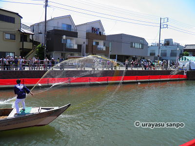 浦安細川流投網