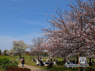 弁天ふれあいの森公園