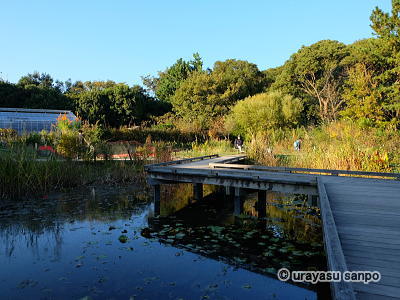 弁天ふれあいの森公園
