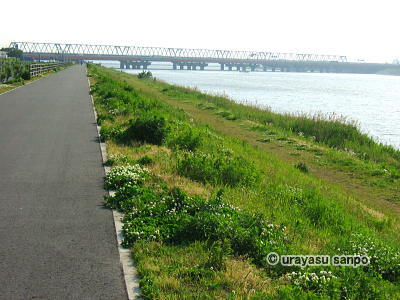 旧江戸川テラス