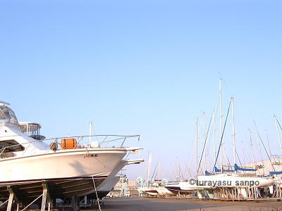 浦安マリーナ