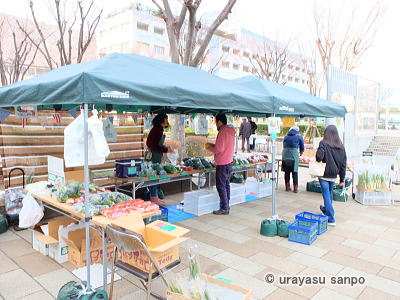 新浦安駅前プラザ マーレ
