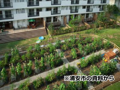 三番瀬環境観察自然園