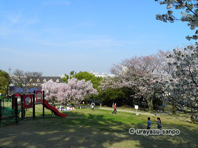 中央公園