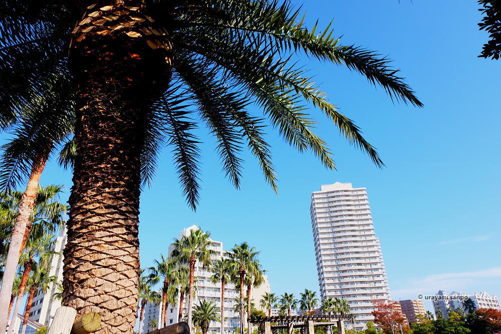 マリナガーデン新浦安