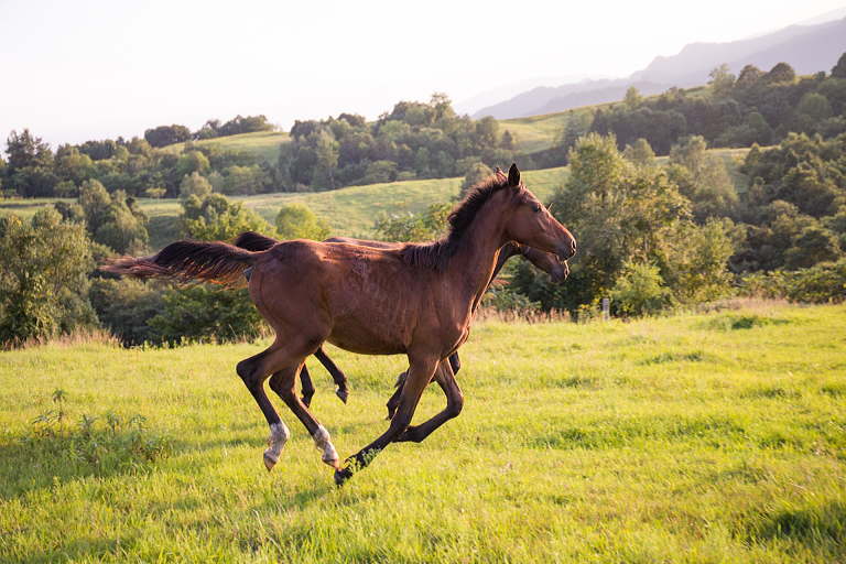 あさイチ浦安特集