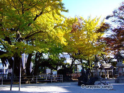 笑ってコラえて　豊受神社