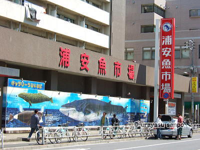 笑ってコラえて　浦安魚市場