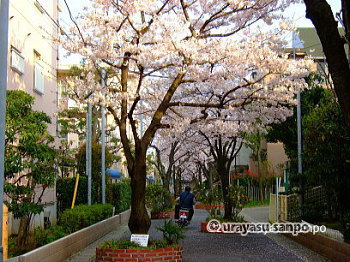 東小学校近くの路地