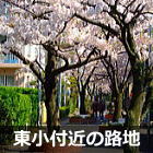 浦安 浦安東小学校近くの路地