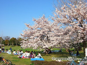 弁天ふれあいの森