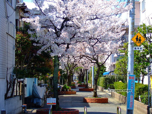 東小学校付近の路地