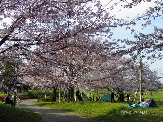 弁天ふれあいの森公園