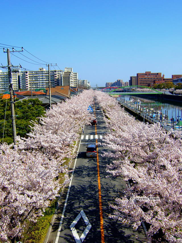 ロロロロロロロロロロロ