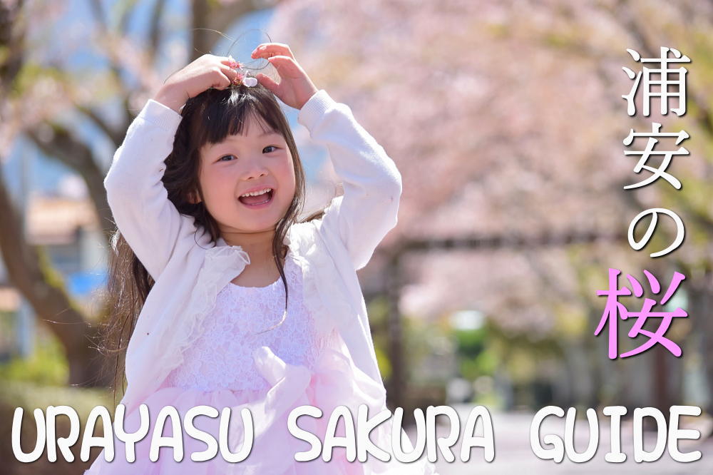 浦安の桜　浦安駅周辺の桜
