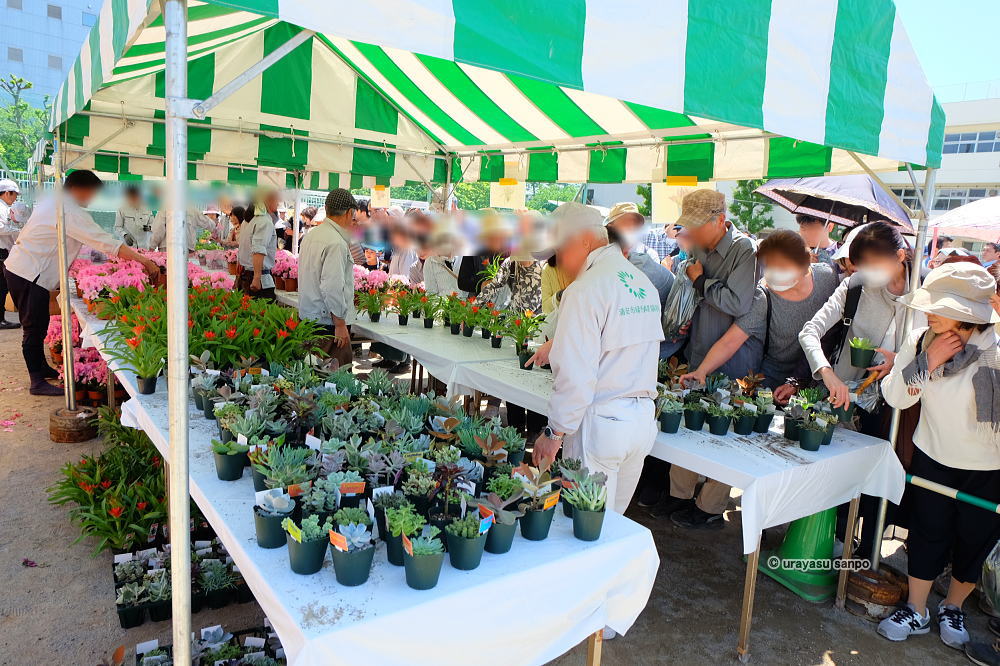 浦安植木まつり