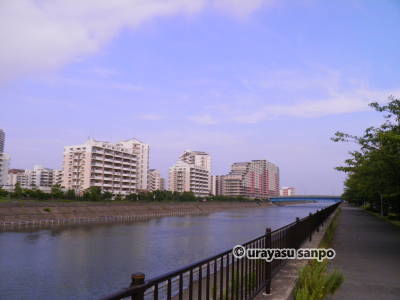 浦安花火大会　穴場　境川