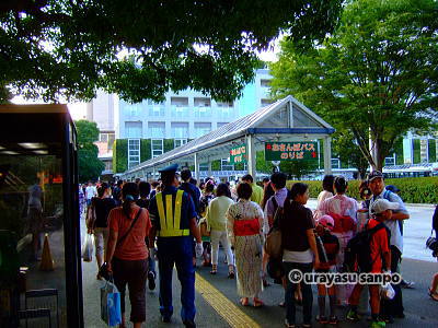 浦安花火大会　無料送迎バス