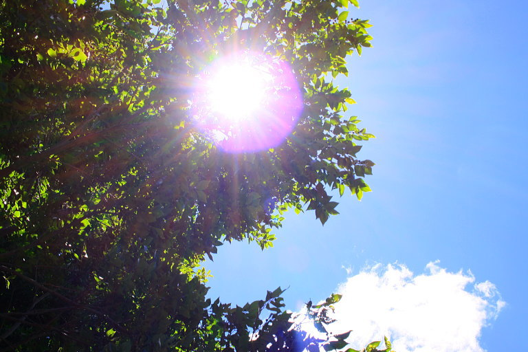 ウラヤスフェスティバル