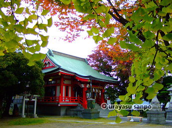 稲荷神社の紅葉