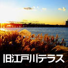 旧江戸川テラス