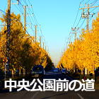 中央公園前の通り