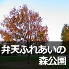 弁天ふれあいの森公園