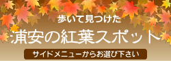 浦安の秋　紅葉スポット