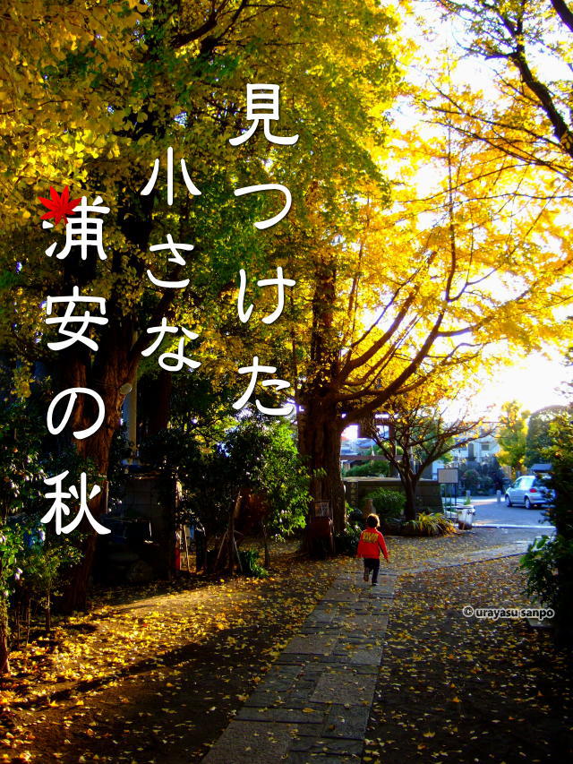 浦安の秋　紅葉