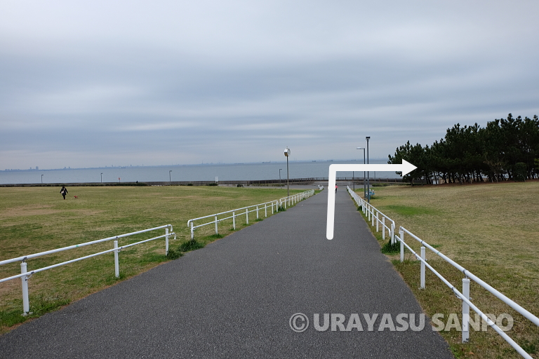 浦安総合公園海岸開放