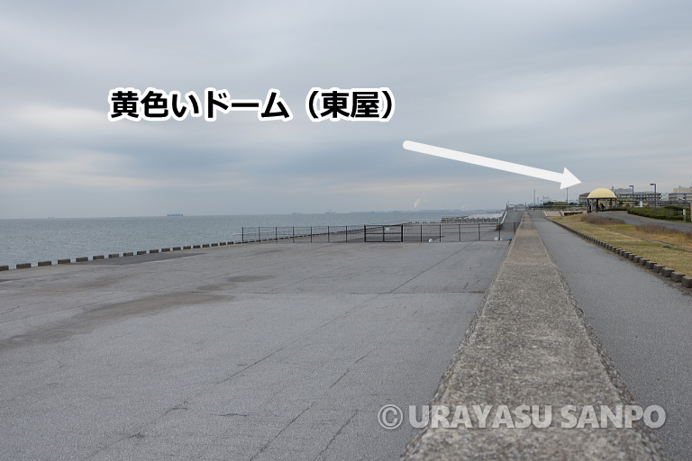 浦安総合公園海岸開放