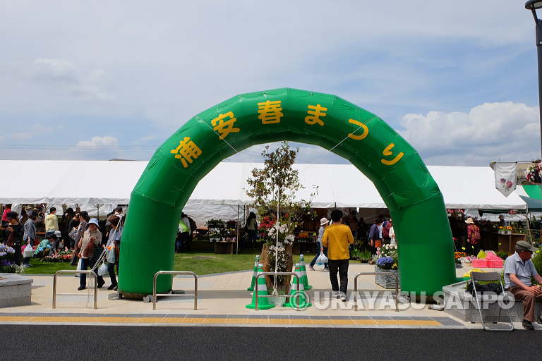 浦安春まつり　植木まつり