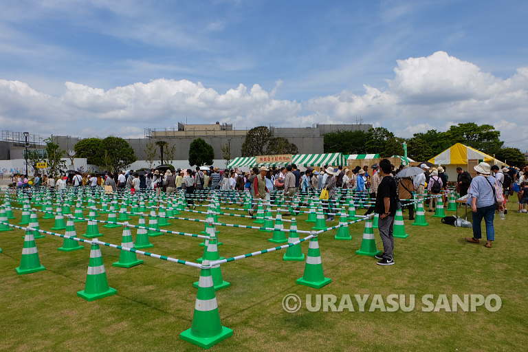 浦安春まつり　植木まつり