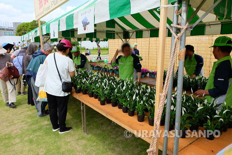 浦安春まつり　植木まつり