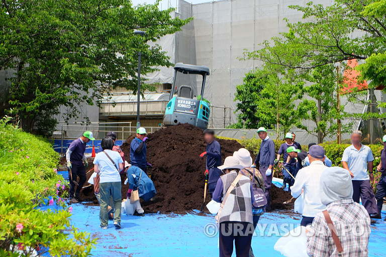浦安春まつり　植木まつり