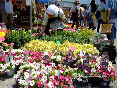 浦安のイベント　浦安植木まつり