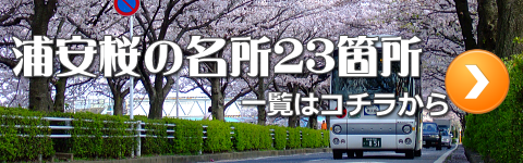 浦安桜の名所一覧