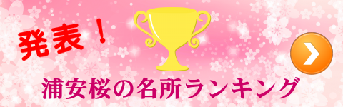 浦安桜の名所ランキング