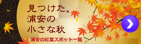 浦安の紅葉一覧